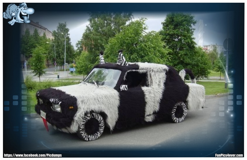 Funny Car Funpics4ever