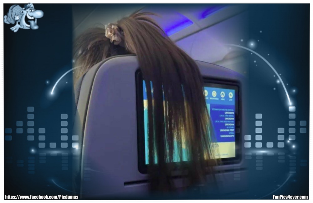 Lange Haare - da freut man sich doch auf dem Vordermann auf der Weltreise im Flugzeug.