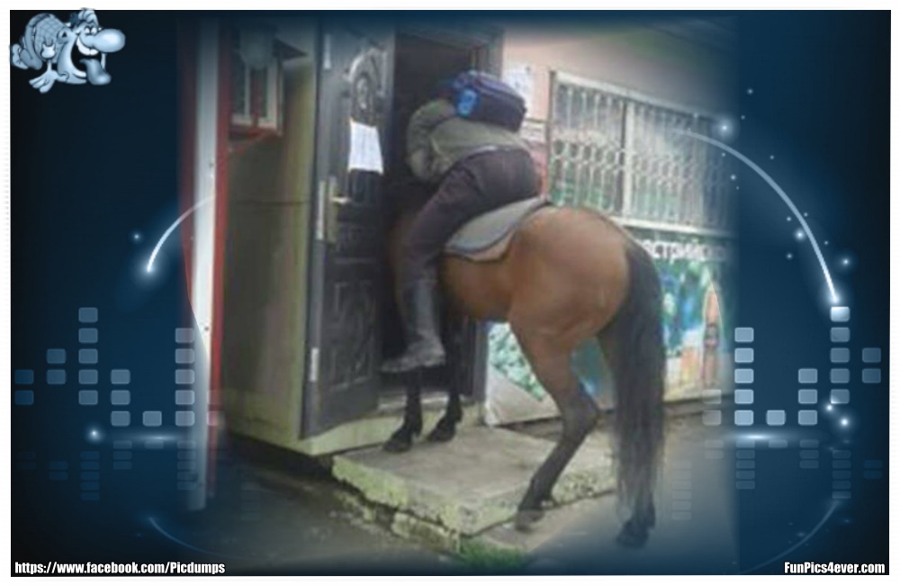 Pferde WC - ohne absteigen mal schnell mit dem Pferd auf fas WC gehen. Kann auch nicht jeder.