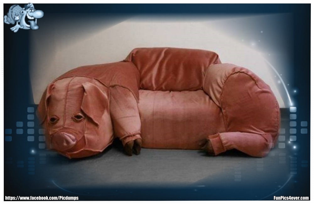 Schweine Couch - wer kommt denn auf so eine Idee? Schön ist anders.