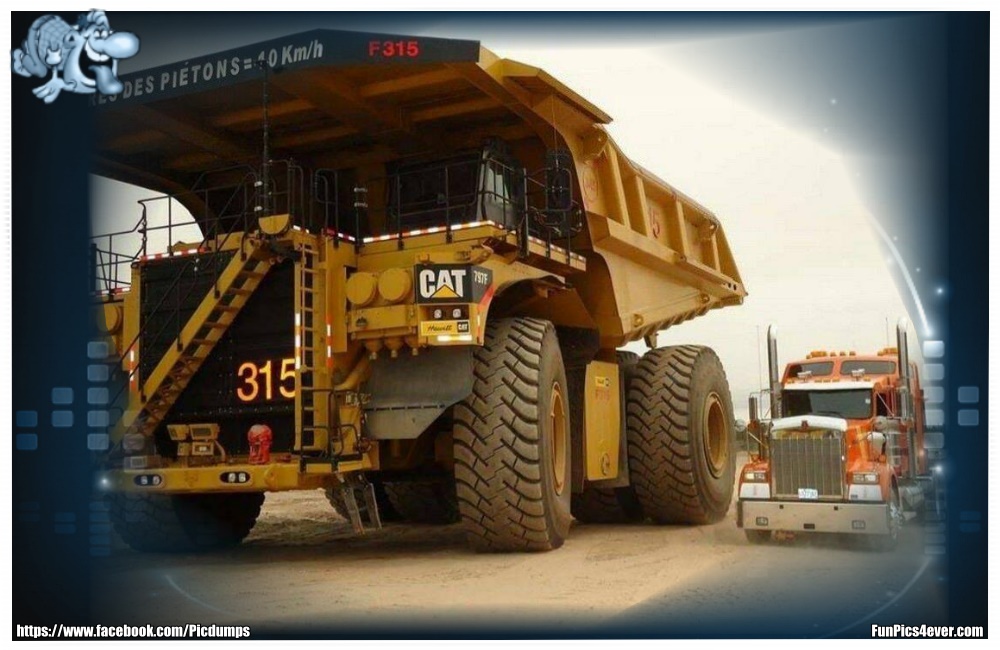 Trucks - der Unterschied ist schon mächtig gewaltig.