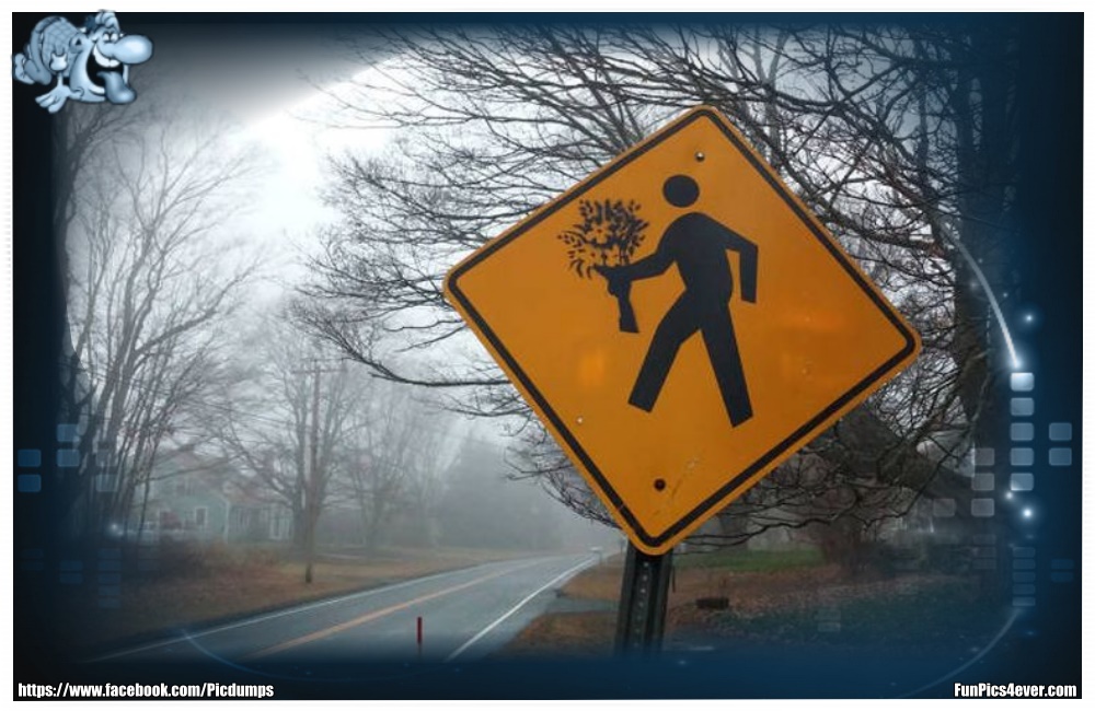 Baum klauen Warnschild