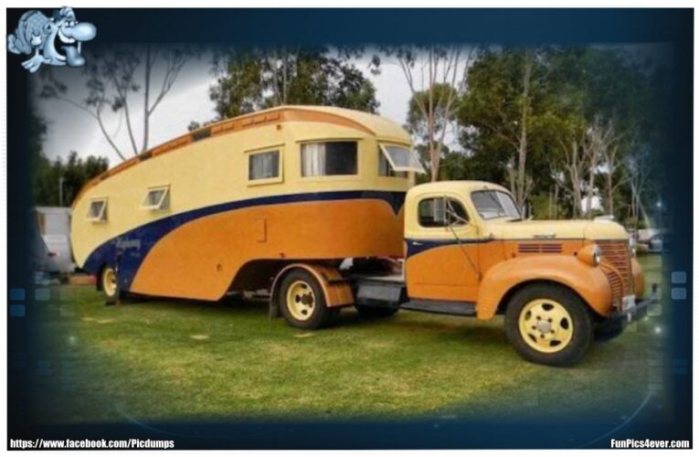 Cooler Camper