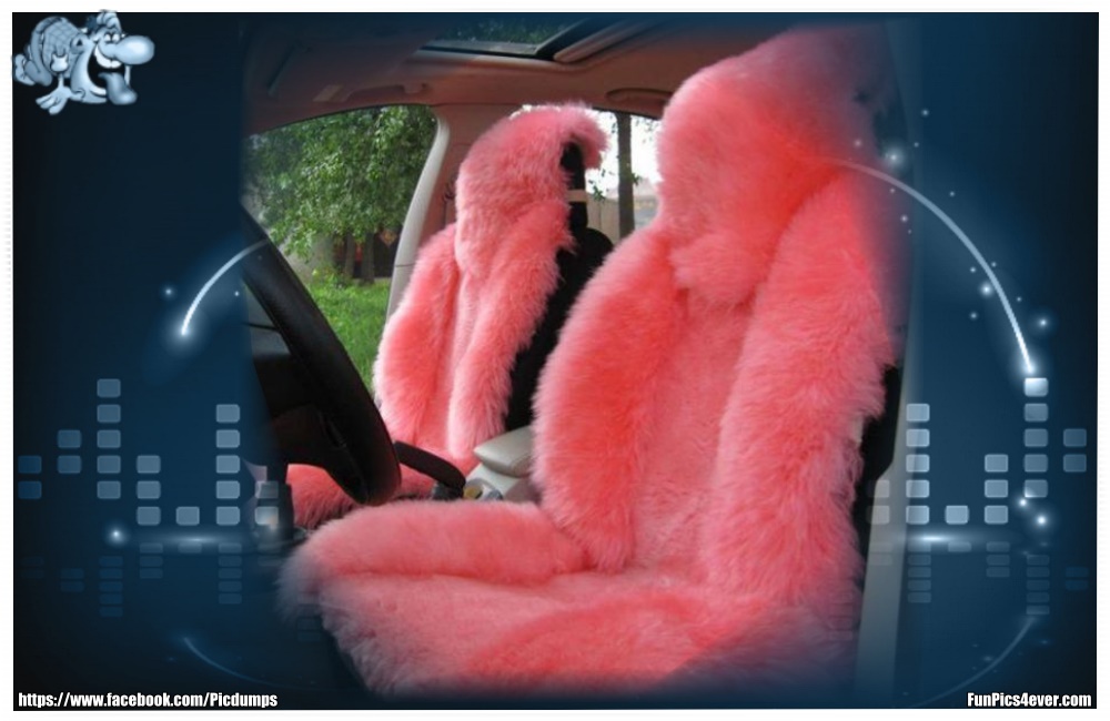 Flauschige Sitze - das will man doch auf jeden Fall in seinem Auto nicht haben.