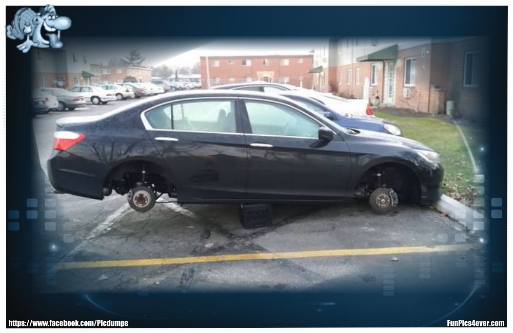 Funny Car Funpics4ever