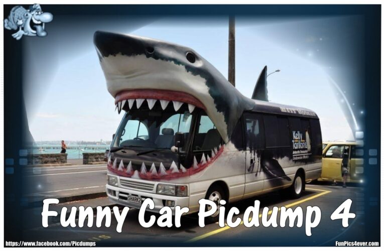 Funny Cars Picdump #4