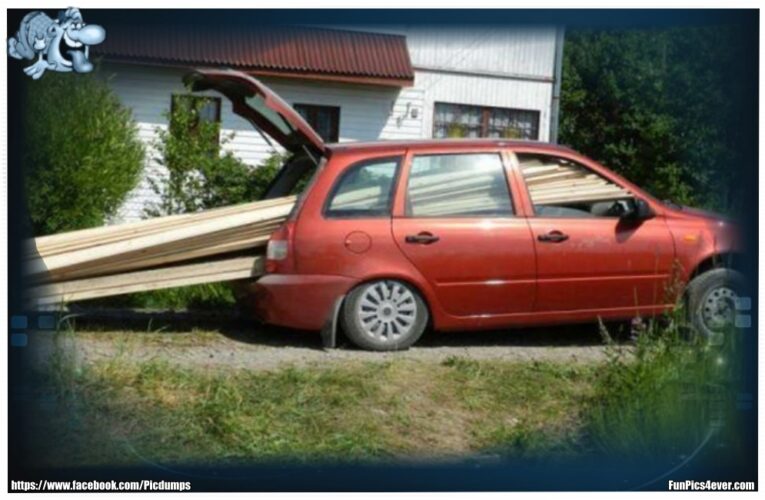 Holz transportieren