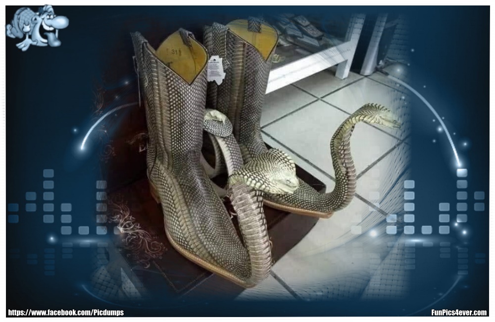 Snake Stiefel - damit wird das laufen aber schwierig werden. Eben nur was für echte Schlangen Fans.