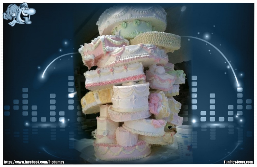 Strange Wedding Funpics