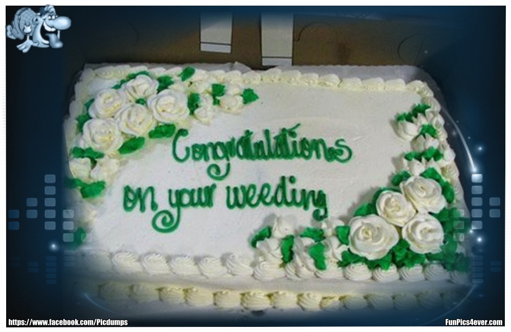 Strange Wedding Funpics