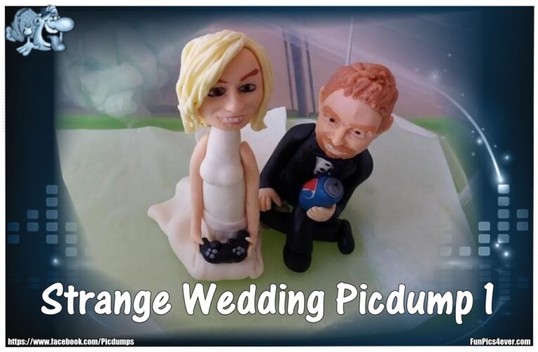 Strange Wedding Picdump