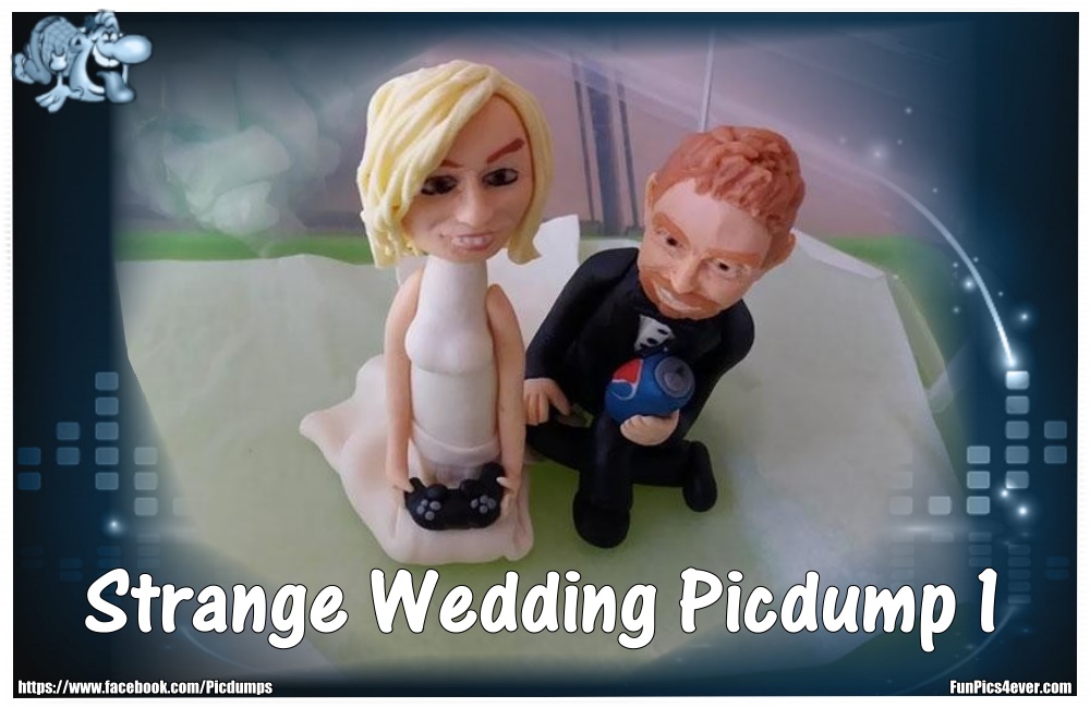 Die besten Hochzeiten  haben auch so ihre Tücken. Hier ein paar lustige Sachen, die da so auftauchen und passieren können.