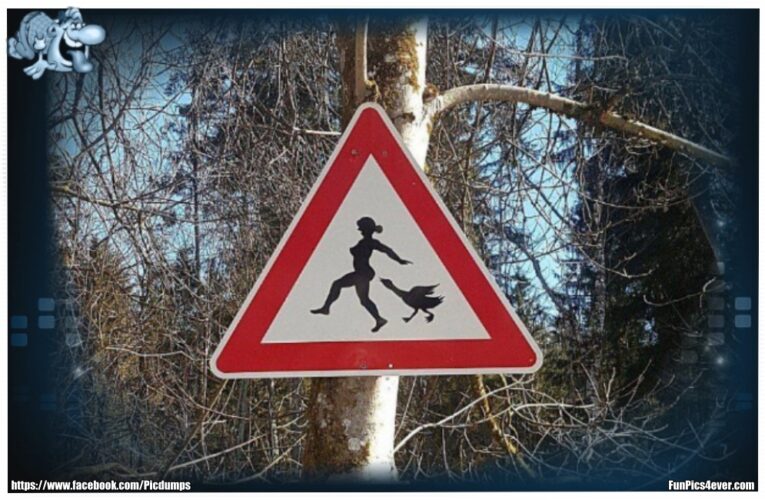 Warnschild Wald