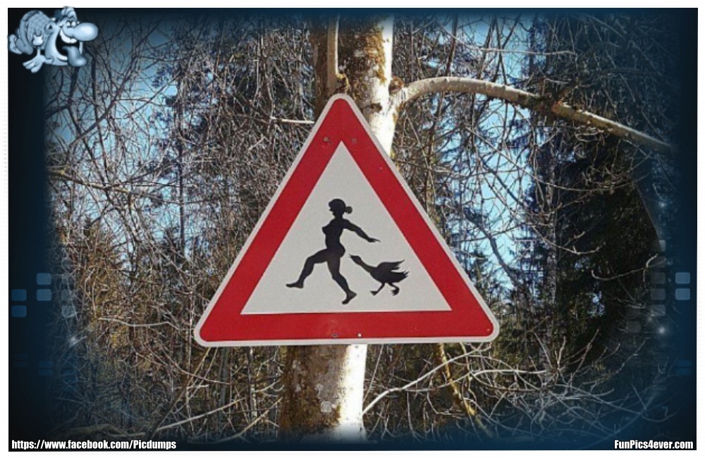 Warnschild Wald - was ist denn da los im Wald? Vorsicht ist hier angesagt.