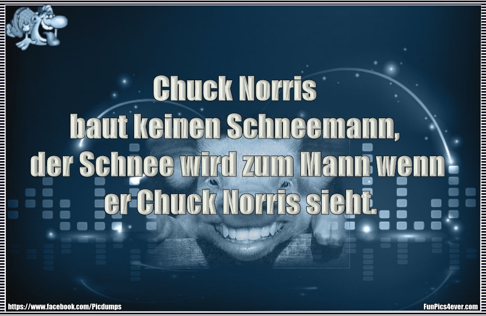 Chuck Norris baut keinen Schneemann, der Schnee wird zum Mann wenn er Chuck Norris sieht.