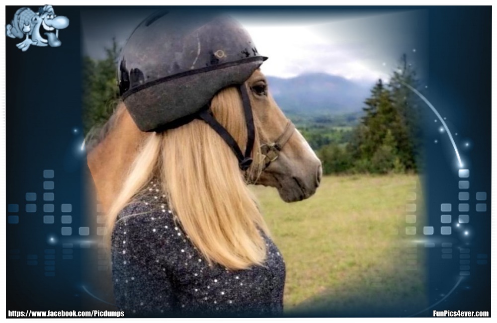 Funny Animals Funpics