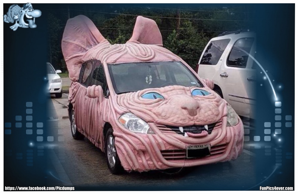 Funny Car Funpics