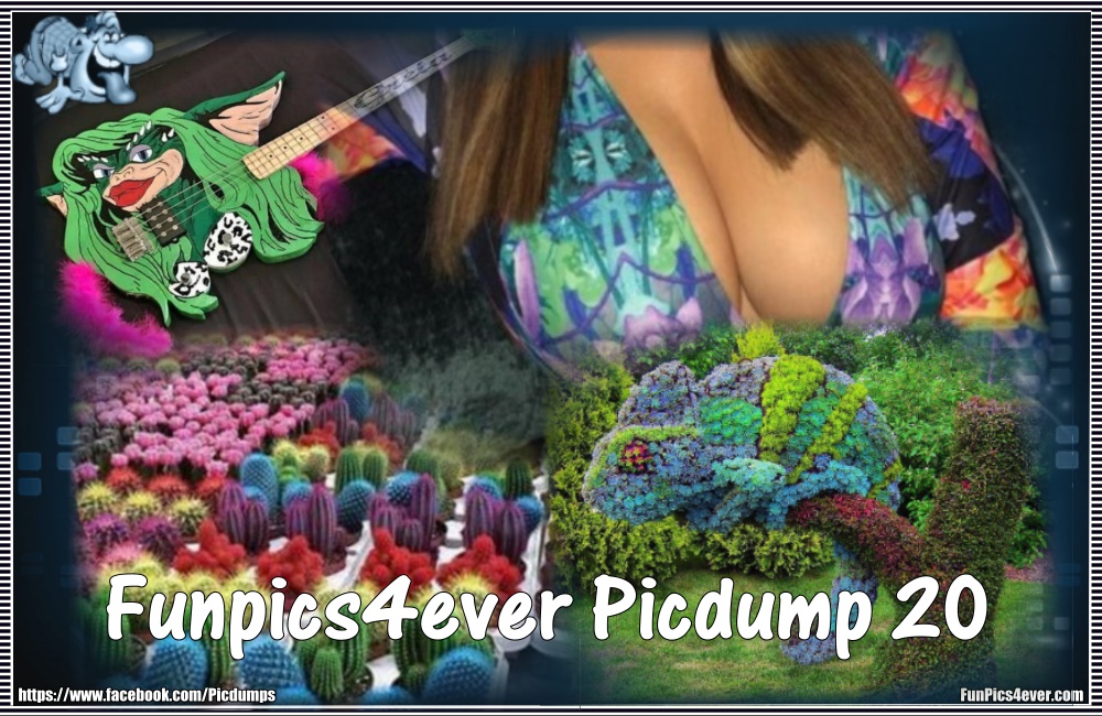 Funpics4ever-Picdump #20