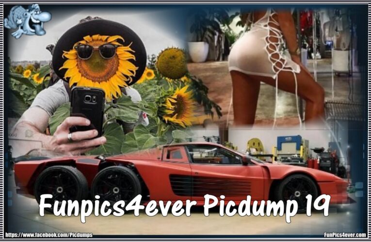 Funpics4ever-Picdump #19