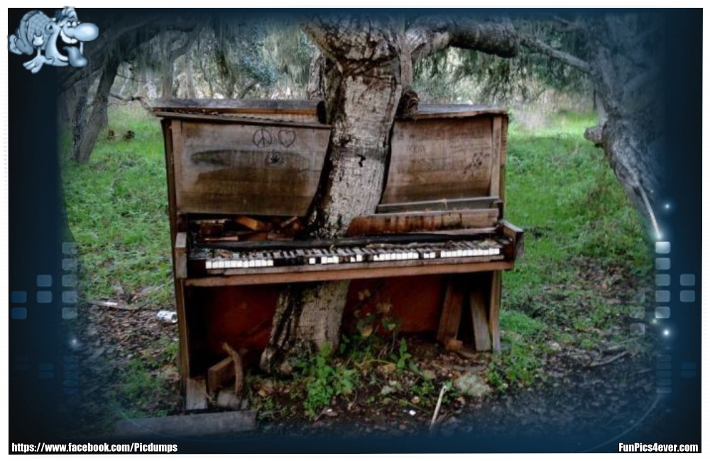 Klavier im Baum - dass hat aber ein paar Jahrzehnte gedauert, bis der baum eingewachsen ist.