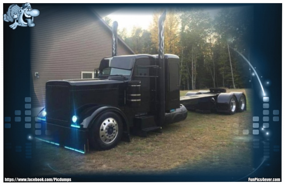 Monster Truck XXL - so ein Exemplar sieht man auch nicht jeden Tag. Das geht ab!