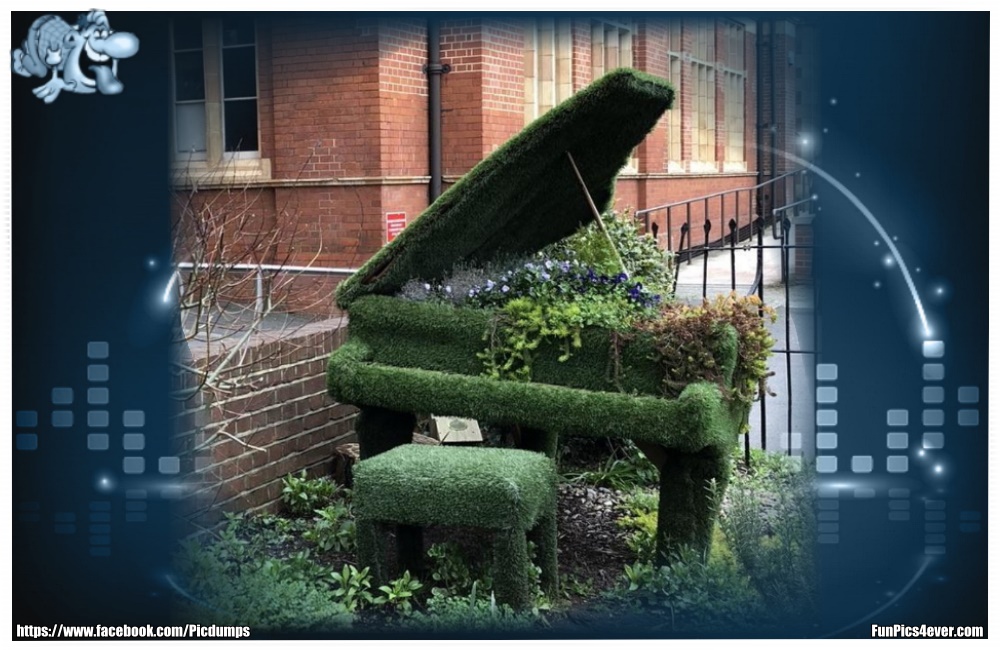 Moos Flügel - wie lange stand denn das gute Teil schon draußen? Da wird kein guter Klang mehr rauskommen.