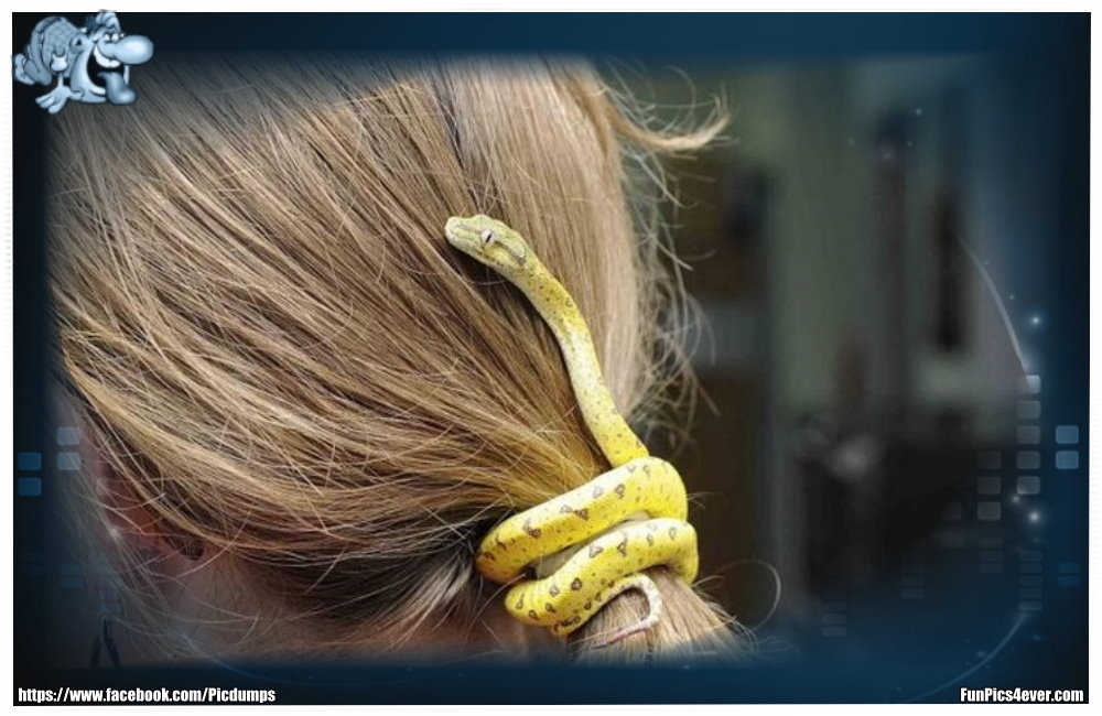 Schlange im Haar - eine wirklich originelle Idee, den Zopf zu binden. Weltklasse!