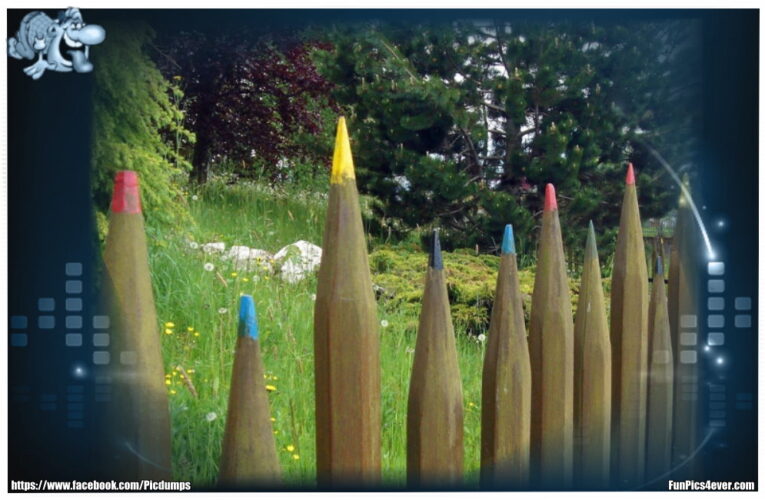Buntstifte Gartenzaun