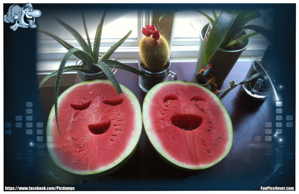 Melonen Gesicht - das ist auch eine kleine Kunst, Melonen etwas sagen zu lassen.