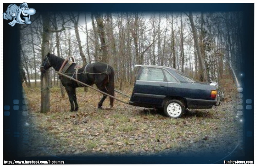 Die 1 PS Karre wird wohl in naher Zukunft öfters zu sehen sein. Bei den Spritpreisen kein Wunder.