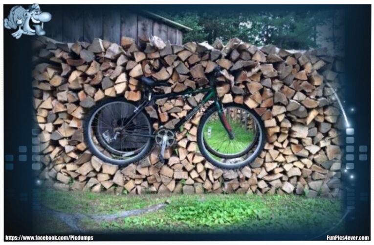 Bike im Holzstapel