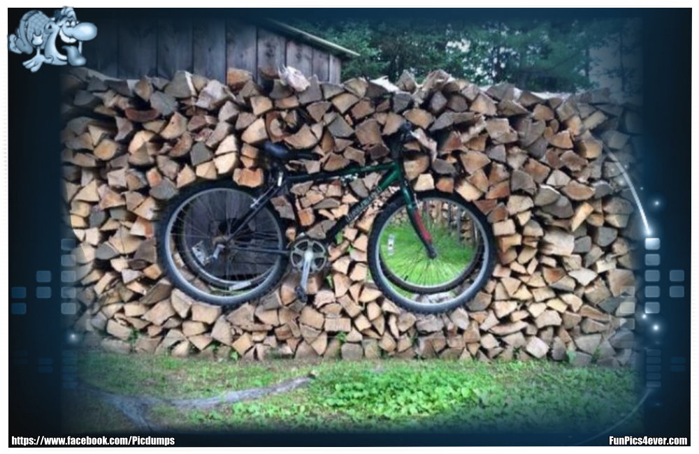 Bike im Holzstapel - was für eine tolle Idee. Sogar mit Gucklöchern.