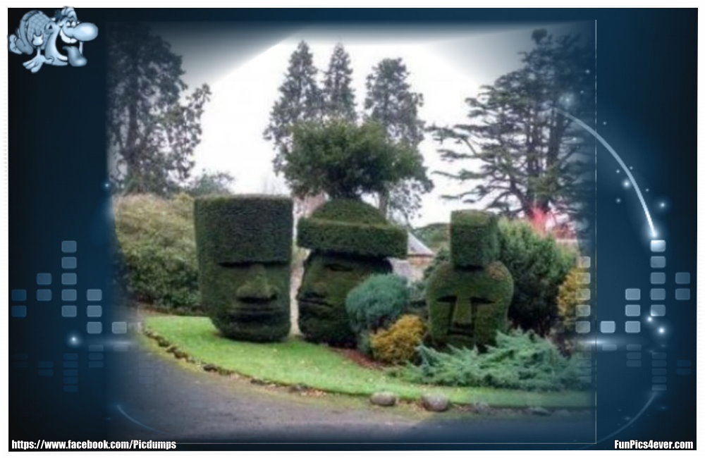 Mit dieser Hecke hat der Gärtner bewiesen, dass er ein absoluter Künstler ist.