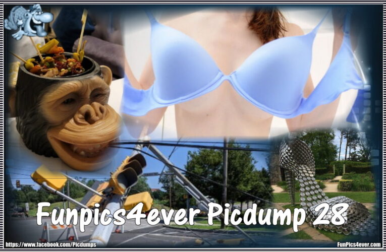 Funpics4ever-Picdump #28