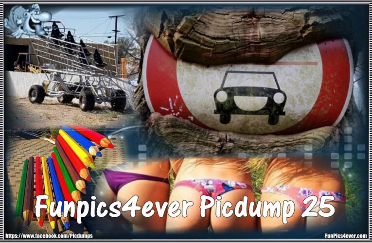 Funpics4ever-Picdump #29