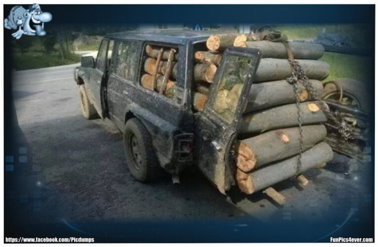 Holz Transport