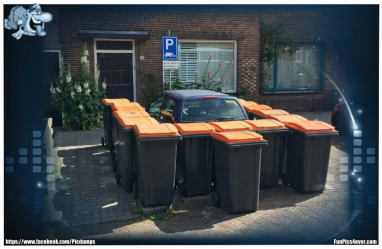 Mülltonnen Parkplatz