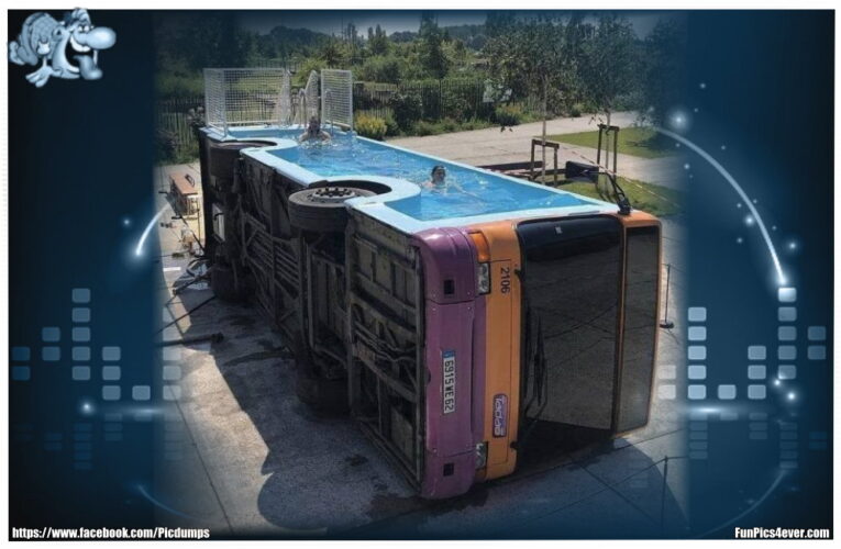 Pool im Bus