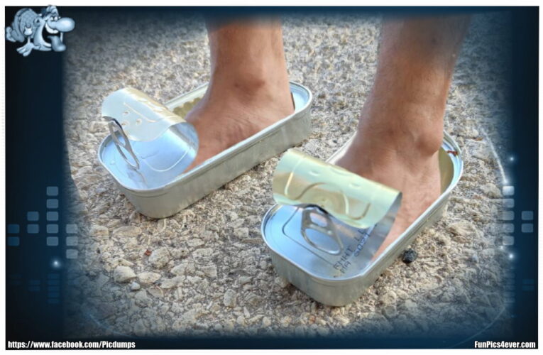 Dosen Sandalen
