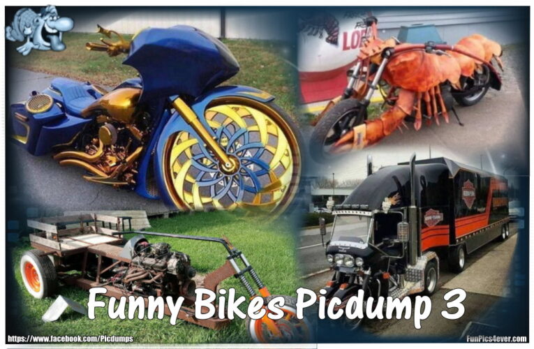 Funny Bike Picdump #3