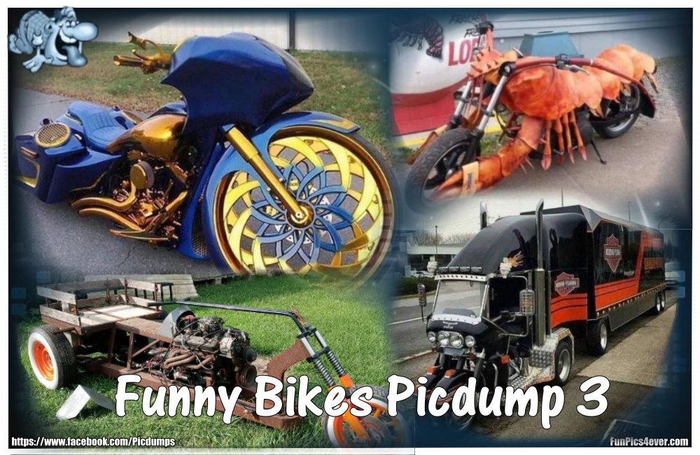 Funny Bike Picdump #3