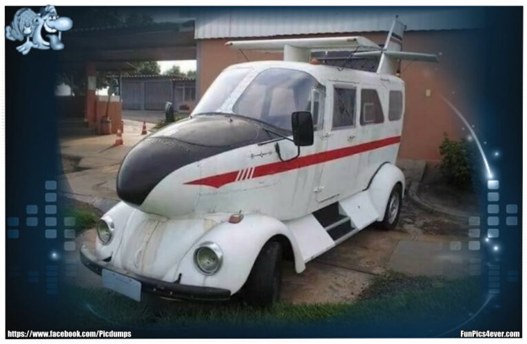 Flugzeug Käfer