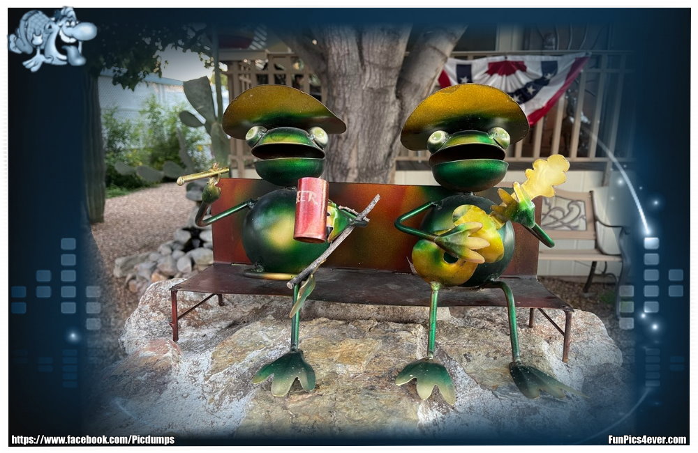Ein lustiges Duo, diese Frosch Musiker. Da kommt doch bestimmt gute Laune auf.