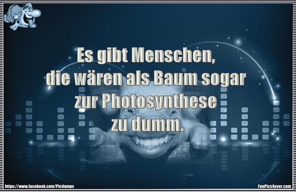 Es gibt Menschen, die w&auml;ren als Baum sogar zur Photosynthese zu dumm.