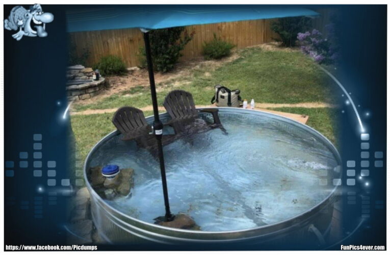 Pool Oase
