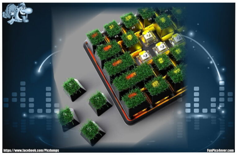 Rasen Tastatur