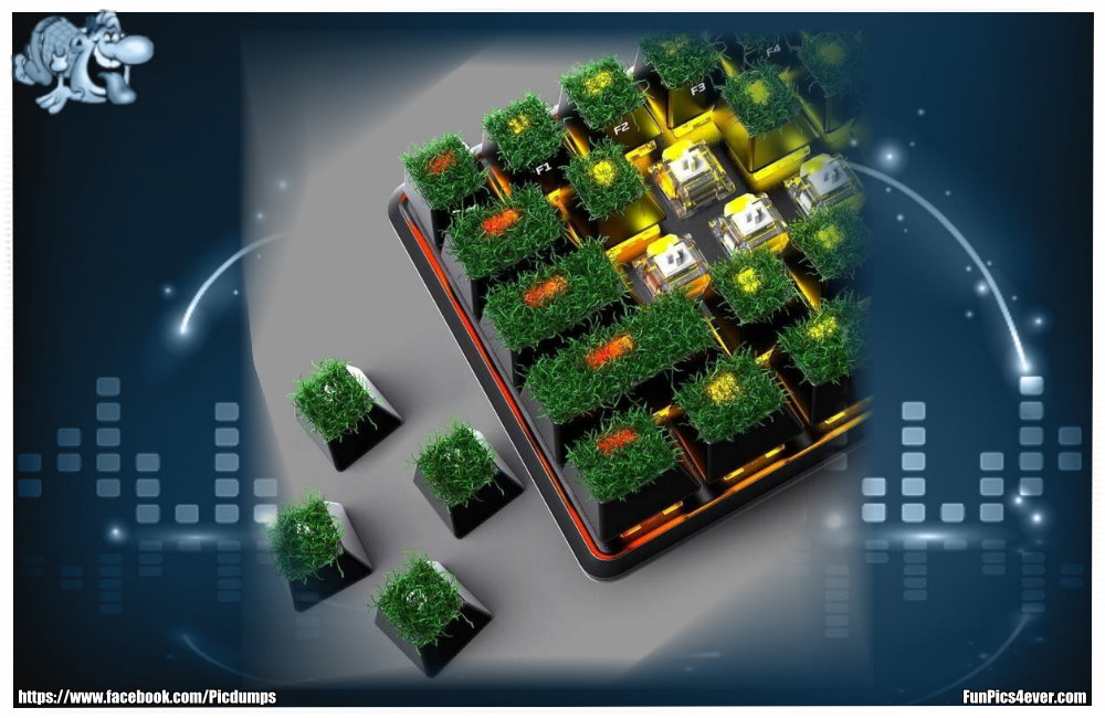 Wer braucht denn sowas? Eine Rasen Tastatur ist jetzt nicht gerade der Renner.