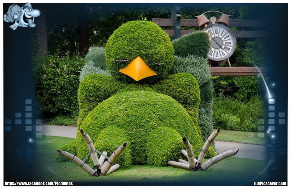 Ein wahrer Künstler, der diese Hecke geschnitten hat. Einfach nur toll!