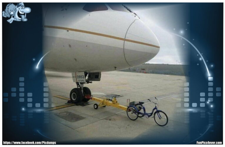 Flugzeug einparken