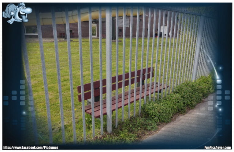 Bank und Zaun